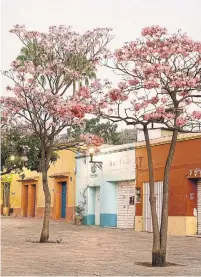  ??  ?? Oaxaca holds something that can’t be fully captured or reposted: a vibrant, beating heart that can only be experience­d while lost in its lively streets.