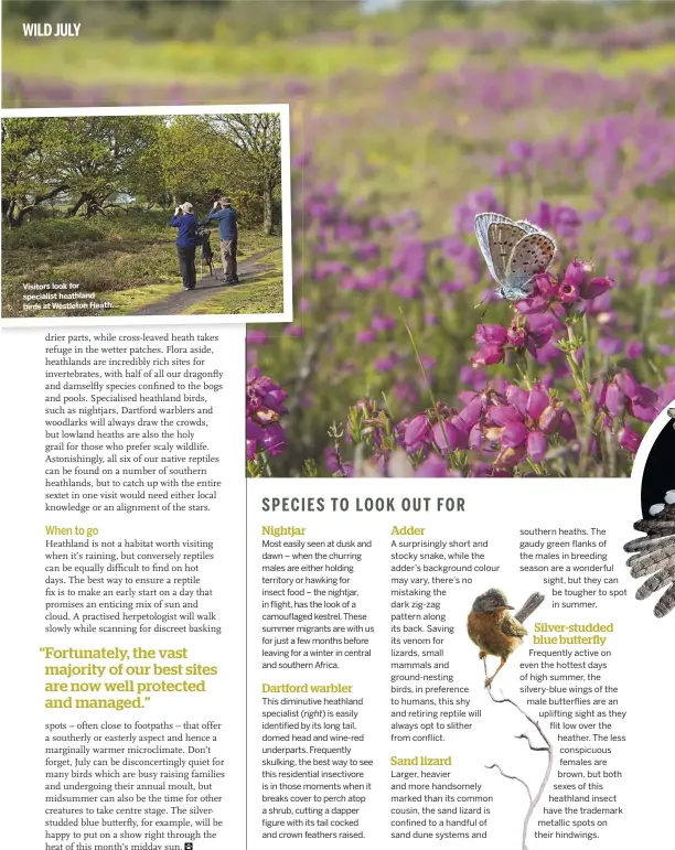  ??  ?? Visitors look for specialist heathland birds at Westleton Heath.