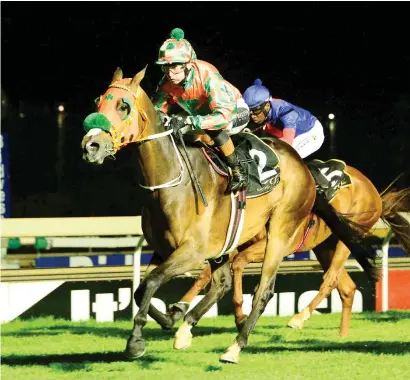  ?? Picture: JC Photograph­ics ?? PICK 6 CHANCE. Arctica is Piere Strydom’e ride in Race 5 at Turffontei­n today and he feels the Mike and Adam Azzie-trained runner needs to be included in the carryover Pick 6.
