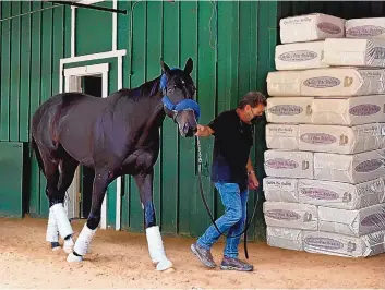  ?? LLOYD FOX/ASSOCIATED PRESS ?? Assistant trainer Jimmy Barnes leads Medina Spirit in the stable area at Pimlico after the Kentucky Derby winner arrived in Maryland for Saturday’s Preakness. Embattled trainer Bob Baffert will not attend.