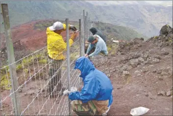  ?? THE NATURE CONSERVANC­Y photo ?? The Nature Conservanc­y staff
builds fences on the south slope of Molokai. Funding from the National Fish and Wildlife Foundation will help protect forests in the area and create jobs for Molokai residents, the state Department of Land and Natural Resources said.