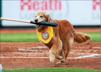  ?? TRENTON THUNDER PHOTO ?? Home Run Derby retrieved his first bat for the Thunder on April 8, 2010.