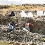  ?? ?? Palaeontol­ogists Leigh Love, Dr Paul Scofield and Al Mannering work at the St Bathans dig site.