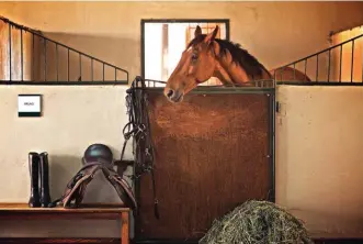  ??  ?? Left: LaLiga Lounge at Hotel Park
Below: Al Wadi Desert offers Equestrian Brunch
Right: Corinthia Hotel St. George’s Bay Malta