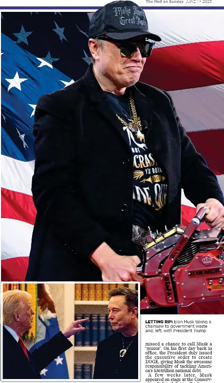 The inside story of how Elon went to Washington to drain the swamp ...