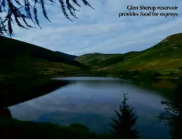  ??  ?? Glen Sherup reservoir provides food for ospreys
