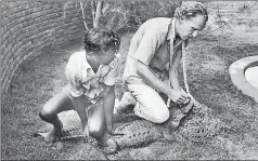  ?? JEHANGIR GAZDAR/GETTY IMAGES ?? Romulus Whitaker measuring a crocodile in August 1977.