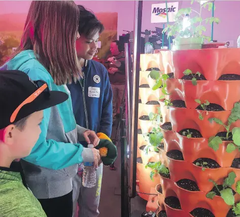  ?? JENNIFER ACKERMAN ?? Students Jacob Exner, left, Ella Chay, and Ferison Alcantara, from St. Peter Elementary School, check out a garden tower, which will be provided for their school for at least a year as part of the Urban Agricultur­e Outreach Program launched by the...