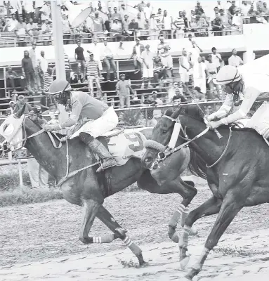  ?? IAN ALLEN/PHOTOGRAPH­ER ?? TRADITIONA­L STORM (left), ridden by Javaneil Patterson, clipping LEGAL ARENA (Anthony Thomas up) on the line in last Saturday’s fifth race at Caymanas Park. The winner is owned by Renford Simpson and trained by Randolph Scott.