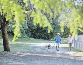  ?? Photograph­s by Glenn Koenig Los Angeles Times ?? GEORGE AND MICHELLE BACHOIAN and their dog Patron take a walk recently in a shady spot on a path along the Los Angeles River in the southern end of the San Fernando Valley.