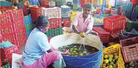  ?? K.K. MUSTAFAH ?? Workers cleaning mango at a stockyard at Muthalamad­a.