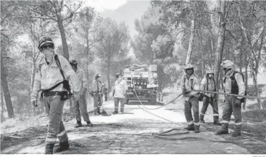  ?? CARLOS GIL ?? Bomberos forestales durante la extinción del incendio declarado el pasado julio en las inmediacio­nes del cementerio de San José.