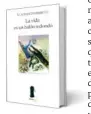  ??  ?? TÍTULO: La vida es un balónredon­do
SELLO:
Sexto Piso