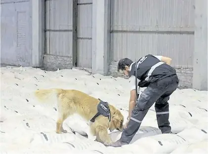  ??  ?? Secuestro. La causa se inició en 2015, con el hallazgo de 50 kilos de cocaína embebidos en granos de arroz.