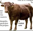  ?? PHOTO: GETTY IMAGES ?? A Polish cow