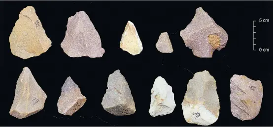  ??  ?? Diese innovative­n Werkzeuge, die in Südostindi­en ausgegrabe­n wurden, sind bis zu 385.000 Jahre alt. Wer aber hat sie hergestell­t?