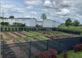  ?? SUBMITTED PHOTO ?? Trellis for Tomorrow has created gardens on the properties of many corporatio­ns which are maintained partly by the companies’ employees. THis garden in Pottsgrove has yielded more than 4,000 pounds of produce.