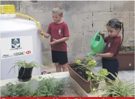  ??  ?? Two young students of Senglea Primary tend to plants using water from the harvesting tanks