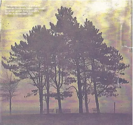  ??  ?? The ‘Seven Sisters’ - a group of trees on Durdham Down - pictured by letter writer Tony Everett’s father in November 1921