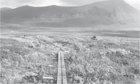  ??  ?? One of the many simple wooden walkways over vulnerable stretches of the Kungsleden trail. With few trees, the view is clear and gorgeous.