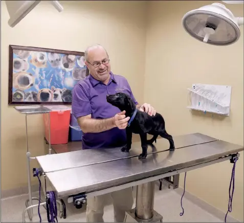  ?? Arkansas Democrat-Gazette/JOHN SYKES JR. ?? Skip Lunders,adoption coordinato­r with Little Rock Animal Services, calms a puppy in the Animal Village operating room. The agency has a full veterinary clinic on site.