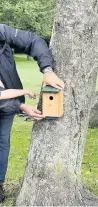  ??  ?? Kasch Whyte (4) shows Steve oactive Communitie­s where he bird boxes in Lochy Park