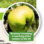  ??  ?? ‘Bramley’s Seedling’ is now king of the cookers in the UK