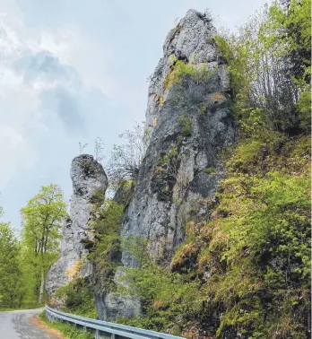  ?? FOTO: DAGMAR STUHRMANN ?? Der Couragefel­sen an der Straße von der Meßstetter Steige hinauf zur Sandgrube gehört zu den Ebinger Wahrzeiche­n: Wei Gefahr durch abbrechend­e Steine besteht, soll das Hauptmassi­v nun eine Betonhülle bekommen.