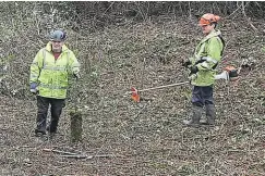  ?? ?? Two volunteers working on the last 100m of tree and vegetation clearance.