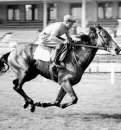  ??  ?? Campione Ribot a San Siro nel 1956