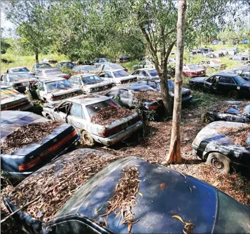  ?? HENG CHIVOAN ?? Scores of rusted-out cars impounded in timber smuggling crackdowns succumb to the elements at a Forestry Administra­tion impound lot in Mondulkiri province earlier this month.