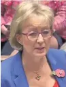  ??  ?? ●●Leader of the Commons Andrea Leadsom said she would support the idea
