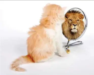  ??  ?? A lion or cat? In politics, perception can be manufactur­ed.