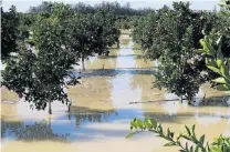  ??  ?? WASTED WATER: More than 20ha of citrus orchard were either buried under masses of dirt or flooded, damaging about 1 000 tons of export fruit. The Department of Water and Sanitation is assessing the situation