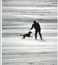  ?? ?? A dog walker braving strong winds on Seaburn beach in Sunderland yesterday