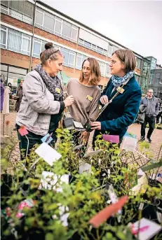  ?? RP-FOTO: ANNE ORTHEN ?? Für die Vielfalt des Saatguts organisier­en Olivia Tawiah, Heike Lüth-Bungards und Sonja Eichstätt mit vielen Helfern seit 2015 das Festival.