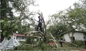  ??  ?? Fallen trees in Cancún after Delta lashed Mexico’s Yutacán peninsula. The hurricane is the 25th named storm in what has been an unusually active Atlantic hurricane season. Photograph: Rodolfo Flores/Eyepix/Rex