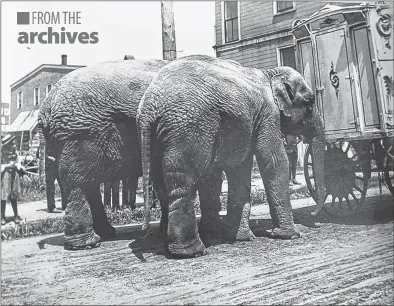  ?? PHOTO COURTESY OF THE WEST HANTS HISTORICAL SOCIETY ?? In 1935, two elephants could be seen walking in Windsor when the Al G Barnes circus came to town. Do you have a historic photo or postcard you’d like to share? Please email editor@hantsjourn­al.ca.