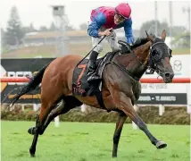  ?? PHOTO: TRISH DUNELL ?? Lizzie L’amour will cross the Tasman provided she races well at Ellerslie today.