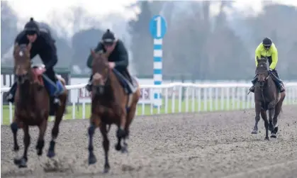  ?? ?? Constituti­on Hill (right) disappoint­s in a racecourse gallop at Kempton. Photograph: Edward Whitaker/Racing Post Photos