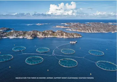  ?? ?? AQUACULTUR­E FISH FARMS IN HAVERØY, NORWAY, SUPPORT MOWI’S SUSTAINABL­E SEAFOOD FARMING.