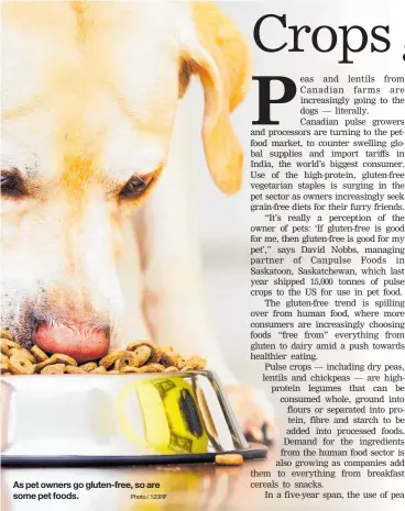  ?? Photo / 123RF ?? As pet owners go gluten-free, so are some pet foods.