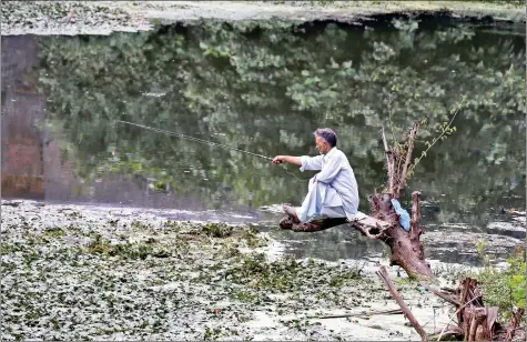  ??  ?? A man sits on a tree as he fishes in the waters of a canal in Srinagar on Thursday. REUTERS