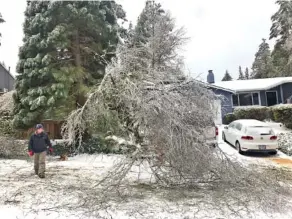  ?? AP PHOTO/GILLIAN FLACCUS ?? People walk by a collapsed tree in Lake Oswego, Ore., on Saturday.