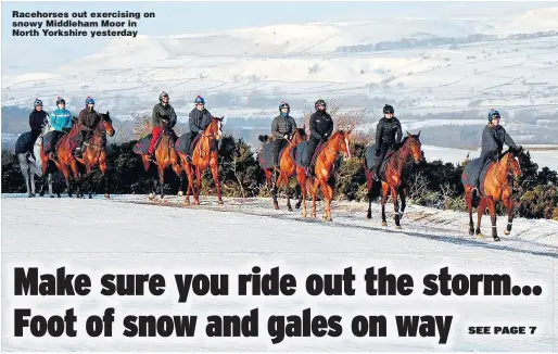  ??  ?? Racehorses out exercising on snowy Middleham Moor in North Yorkshire yesterday