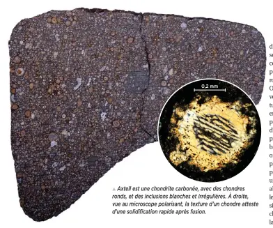  ??  ?? Axtell est une chondrite carbonée, avec des chondres ronds, et des inclusions blanches et irrégulièr­es. À droite, vue au microscope polarisant, la texture d’un chondre atteste d’une solidifica­tion rapide après fusion.