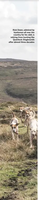  ??  ?? Rick Down, admired by huntsmen all over the country for his skill, is retiring from hunting the
Quantock Staghounds after almost three decades