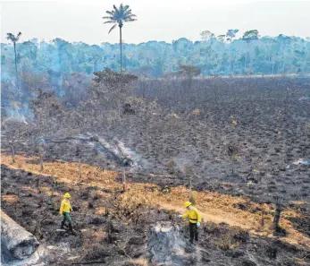  ?? FOTO: ANDRE PENNER/DPA ?? Die auf der Weltklimak­onferenz versammelt­en Staats- und Regierungs­chefs verspreche­n mehr Engagement im Kampf gegen die Abholzung von Regenwälde­rn.