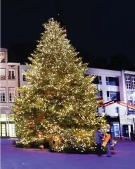  ?? FOTO SERGE MINTEN ?? De kerstboom groeide in Herentals.