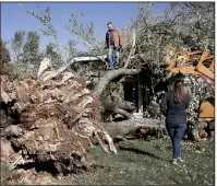  ?? NWA Democrat-Gazette/CHARLIE KAIJO ?? Tony Daniels of Rogers climbs a large tree that had toppled Monday over the home of his friend Scott Jones in Cave Springs. More photos are available at arkansason­line.com/1022storm/